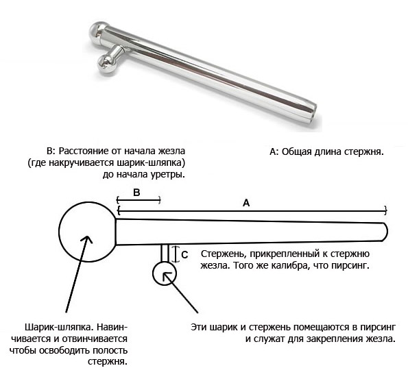 Принца жезлы пирсинг Принца жезлы пирсинг